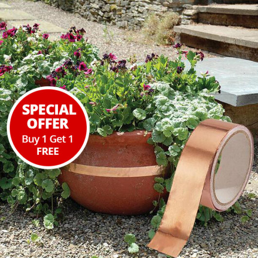 Easylife Slug Repelling Copper Tape Roll +1 Fre in Red/Brown, Size 4.5m