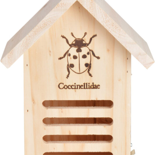 Wooden Ladybird House